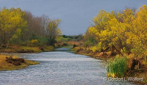 Formosa-Tejano Wetlands_31668.jpg - Photographed along the Gulf coast near La Ward, Texas, USA.